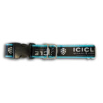 Dog Collars and Leashes